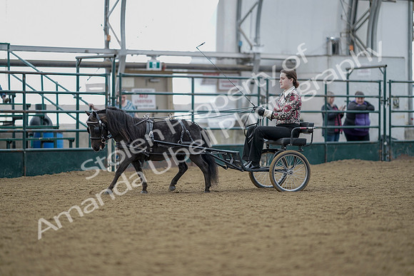 July 21, 2019 - 06868