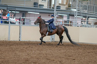 2020 - AB Morgan Horse - Sat, Sept 05 - 04750