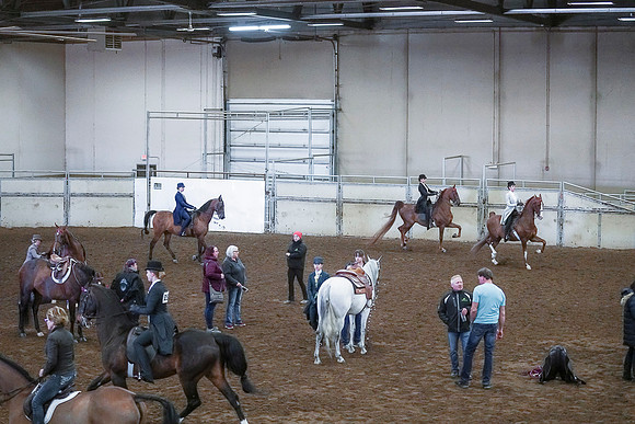 Spring Fling - Saturday - April 20, 2019  -  00342