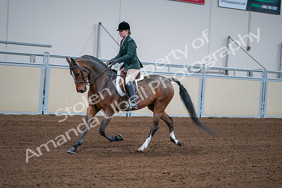 2020 - AB Morgan Horse - Fri, Sept 04 - 01696
