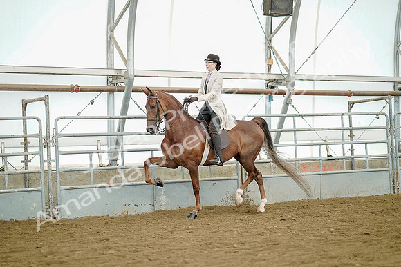 July 20, 2019 - 07648