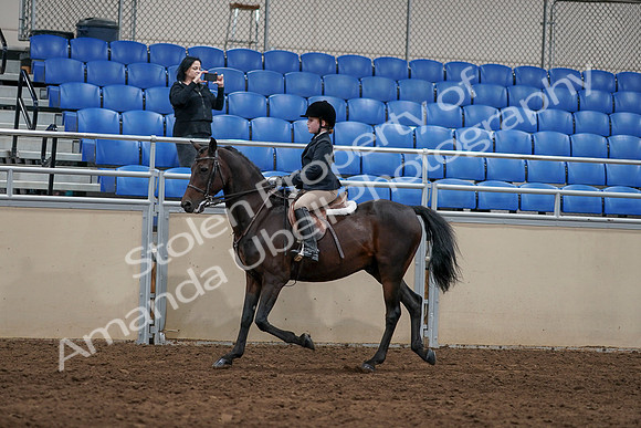 2020 - AB Morgan Horse - Sun, Sept 06 - 07824