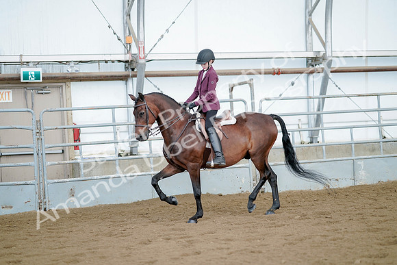 July 21, 2019 - 03241