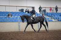 Class 111 - All Breed Hunter Pl Junior Limit Horse