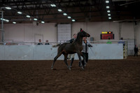 2019 Morgan Horse Show - Aug 31, 2019 - 03556