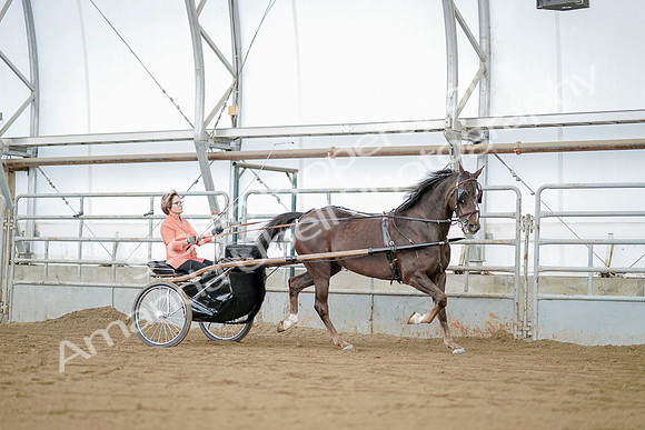 July 21, 2019 - 06000