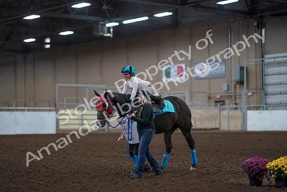 2019 Morgan Horse Show - Aug 31, 2019 - 10097