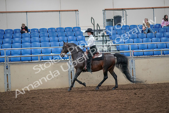 2019 Morgan Horse Show - Aug 30, 2019 - 16876
