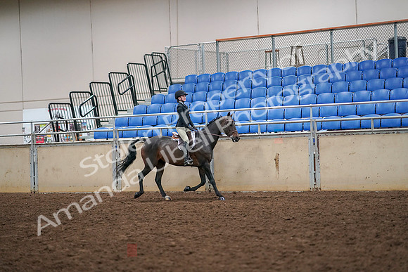 2019 Morgan Horse Show - Aug 30, 2019 - 12410