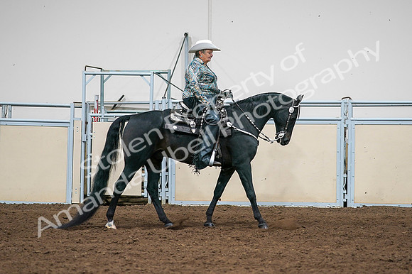 2020 - AB Morgan Horse - Fri, Sept 04 - 03532