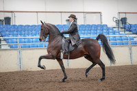 2019 Morgan Horse Show - Aug 30, 2019 - 27856