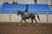 2020 - AB Morgan Horse - Sat, Sept 05 - 01180