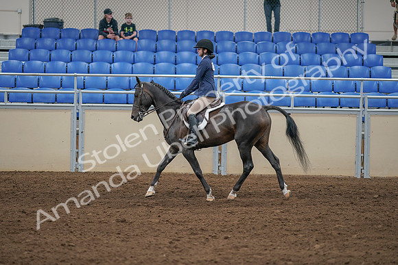 2020 - AB Morgan Horse - Sat, Sept 05 - 01180