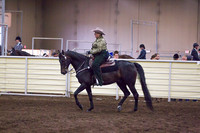 Class 17 - All Breeds Western Pleasure, Sr. Rider