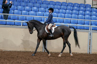 2020 - AB Morgan Horse - Sun, Sept 06 - 07673