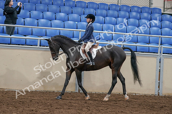 2020 - AB Morgan Horse - Sun, Sept 06 - 07673