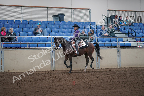 2019 Morgan Horse Show - Aug 31, 2019 - 10622