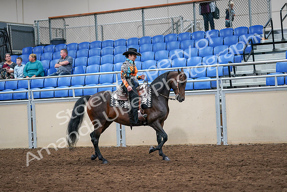2020 - AB Morgan Horse - Sun, Sept 06 - 07564