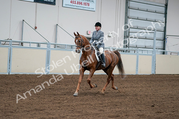 2020 - AB Morgan Horse - Sat, Sept 05 - 03256