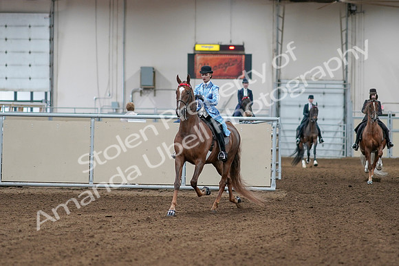 2020 - AB Morgan Horse - Sat, Sept 05 - 06087