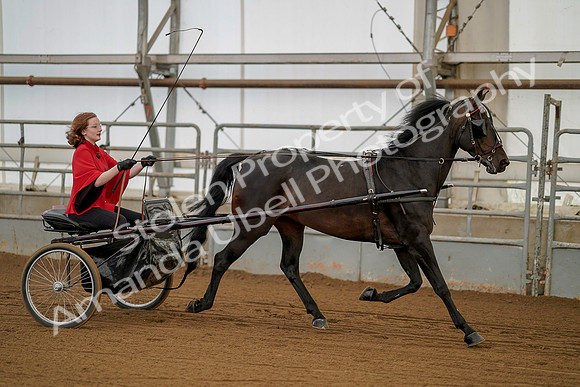 July 20, 2019 - 00241