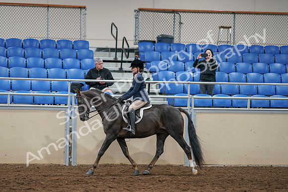 2020 - AB Morgan Horse - Sun, Sept 06 - 07754
