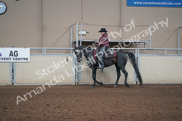2019 Morgan Horse Show - Aug 31, 2019 - 10611