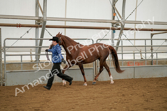 July 19, 2019 - 1269