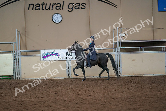 2019 Morgan Horse Show - Aug 30, 2019 - 12239