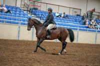 2020 - AB Morgan Horse - Sat, Sept 05 - 09314