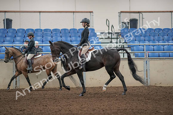 2019 Morgan Horse Show - Aug 31, 2019 - 04851