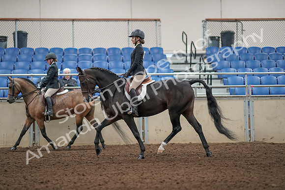 2019 Morgan Horse Show - Aug 31, 2019 - 04852