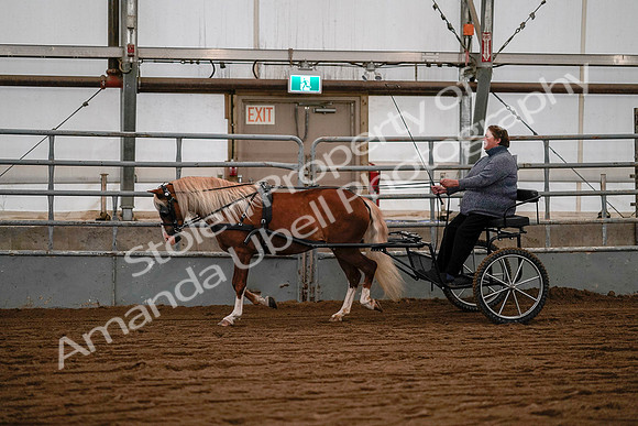 July 19, 2019 - 7072