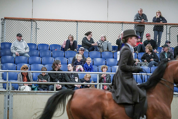 Spring Fling - Saturday - April 20, 2019  -  00825