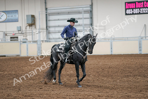 2020 - AB Morgan Horse - Sun, Sept 06 - 07620
