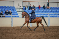 2020 - AB Morgan Horse - Sat, Sept 05 - 09706