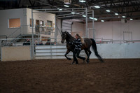 2019 Morgan Horse Show - Aug 31, 2019 - 03390