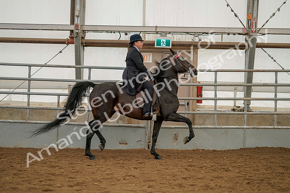 July 20, 2019 - 04537