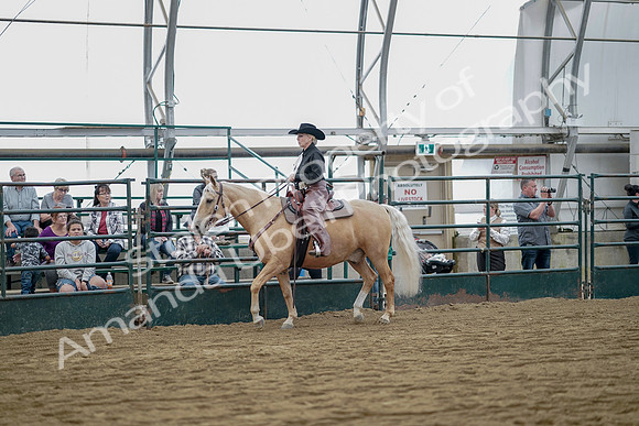 July 21, 2019 - 06725