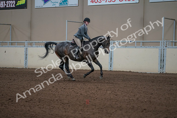 2019 Morgan Horse Show - Sept 01, 2019 - 11110