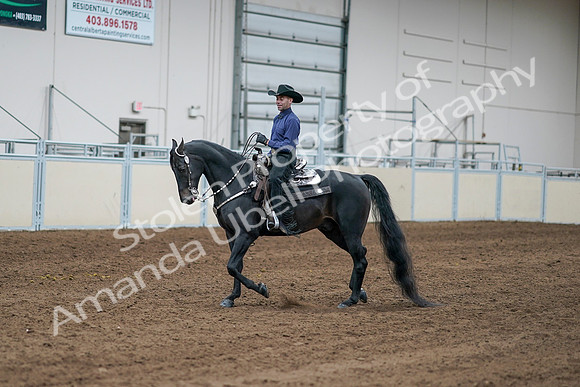 2020 - AB Morgan Horse - Sun, Sept 06 - 07642