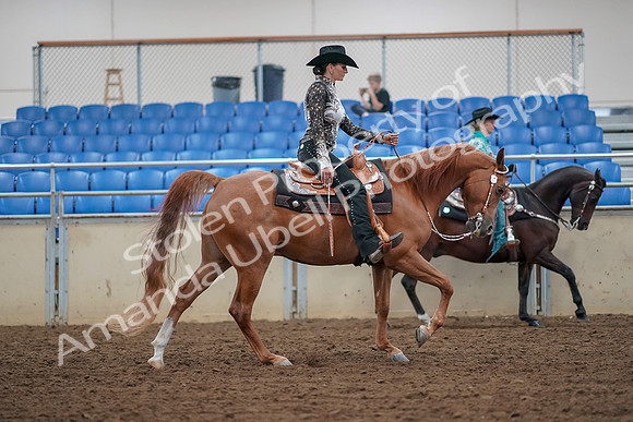 2019 Morgan Horse Show - Aug 30, 2019 - 16982