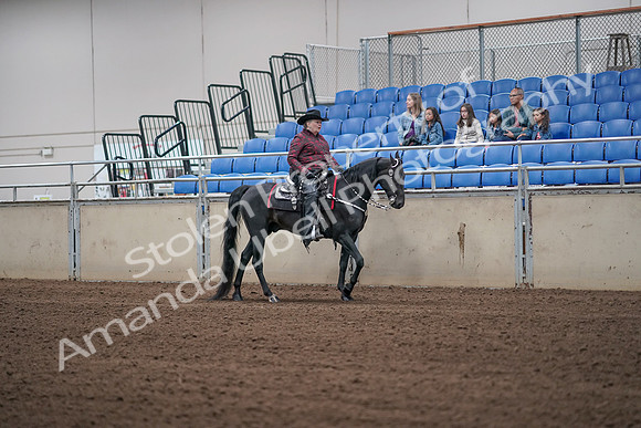 2019 Morgan Horse Show - Aug 31, 2019 - 10663