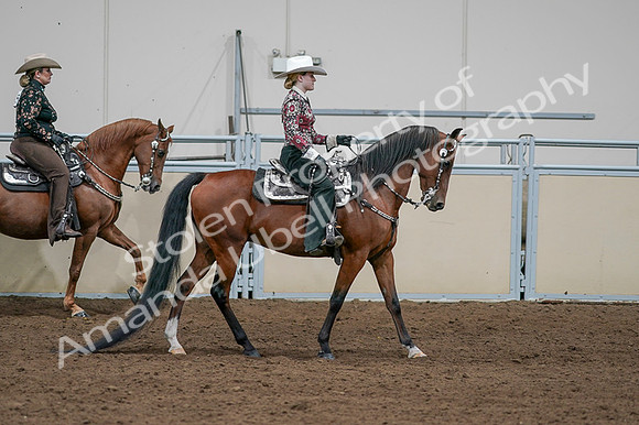 2020 - AB Morgan Horse - Fri, Sept 04 - 08492