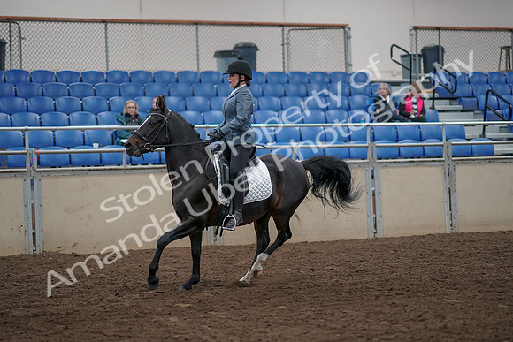 2019 Morgan Horse Show - Aug 31, 2019 - 07309