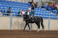 2020 - AB Morgan Horse - Fri, Sept 04 - 07729