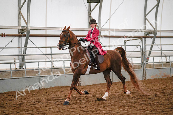 July 19, 2019 - 8927