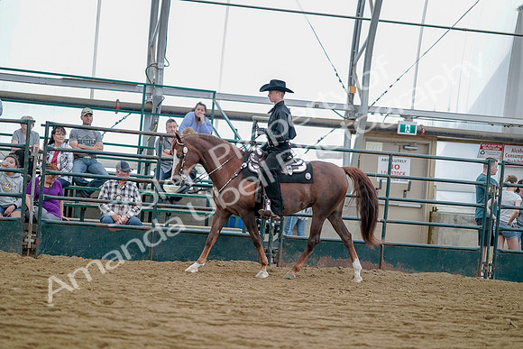 July 21, 2019 - 09019