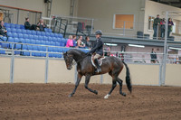 2020 - AB Morgan Horse - Sun, Sept 06 - 00879