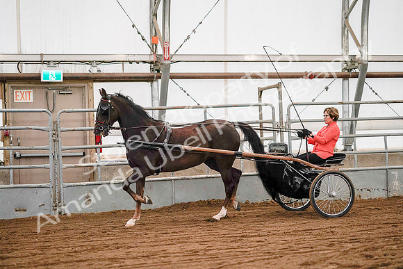 July 19, 2019 - 6977